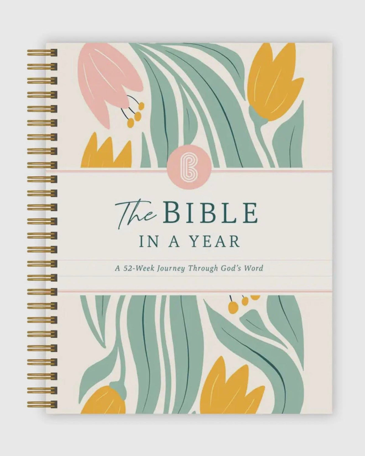#00795 The Bible In a Year