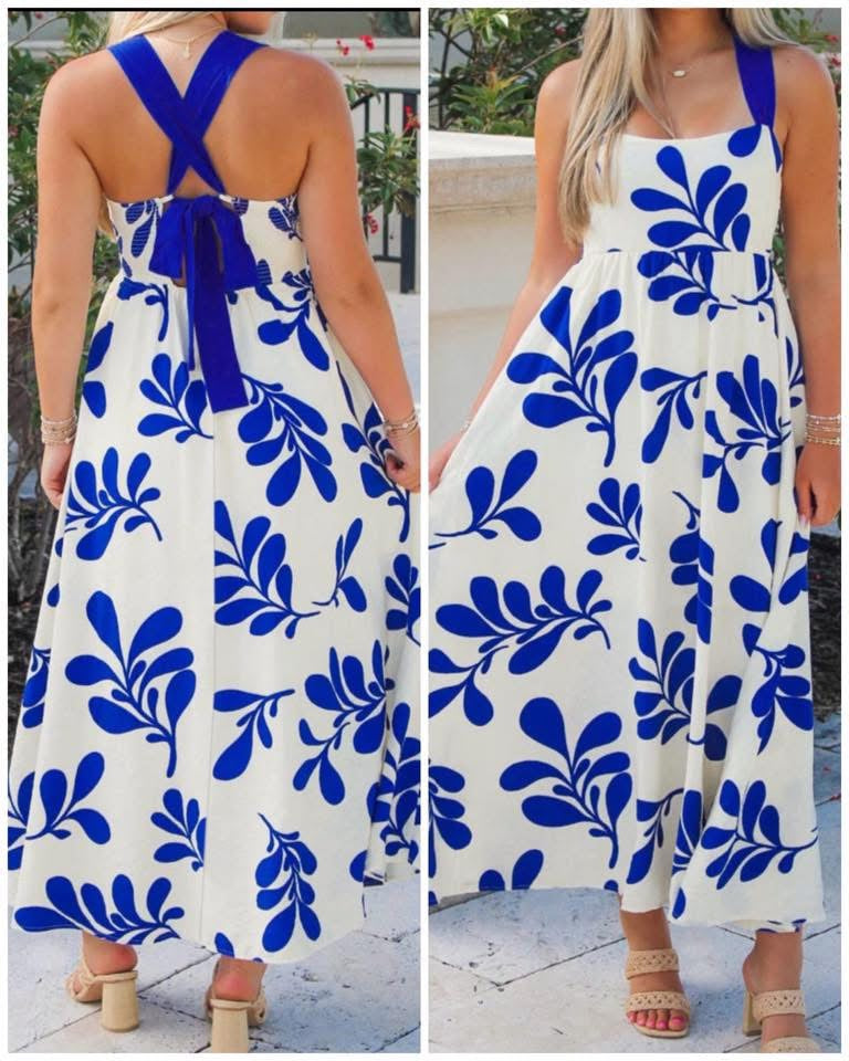 #01045 The Floral Edit blue and white dress