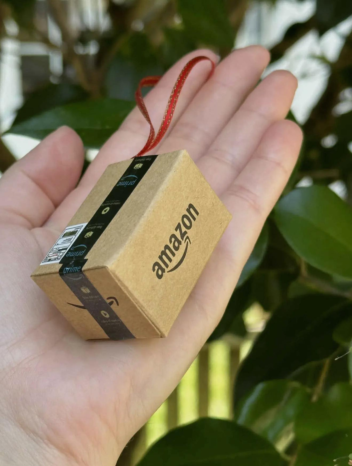 #00726 Mini amazon box