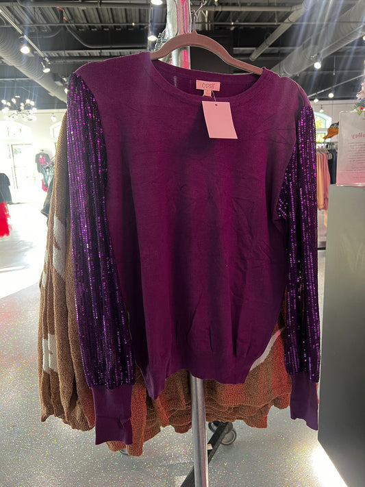 Sequin Sleeve Blouse