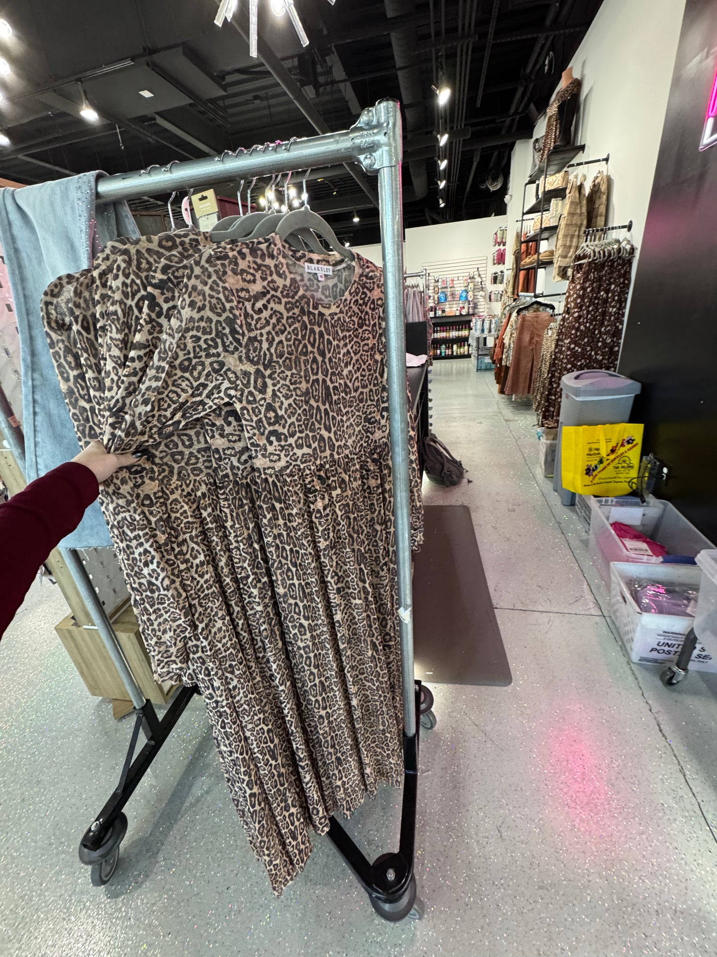 Carmen Sheer Cheetah Dress